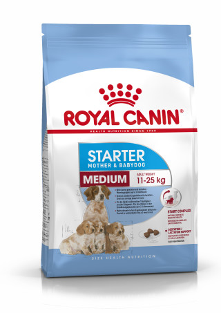 Medium Starter Mother & Babydog